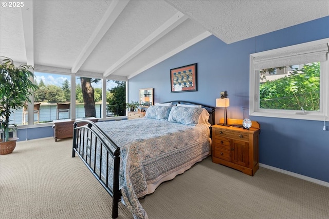 21047 NE Interlachen Ln, Fairview, OR 97024 - bedroom featuring a textured ceiling and carpet floors