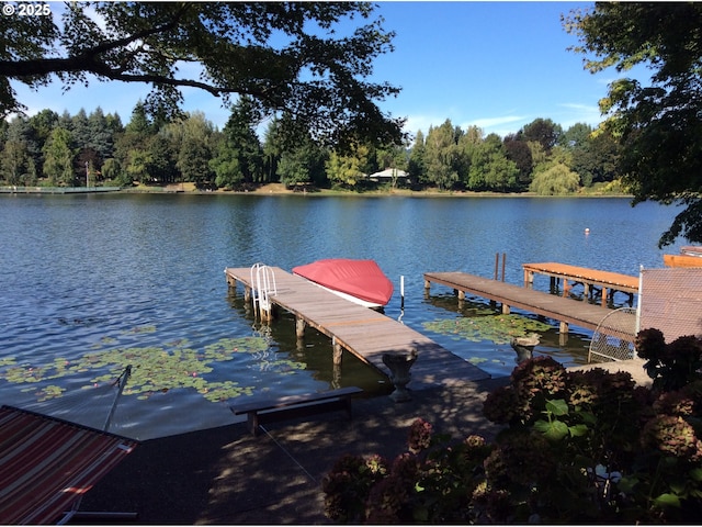 21047 NE Interlachen Ln, Fairview, OR 97024 - dock area featuring a water view