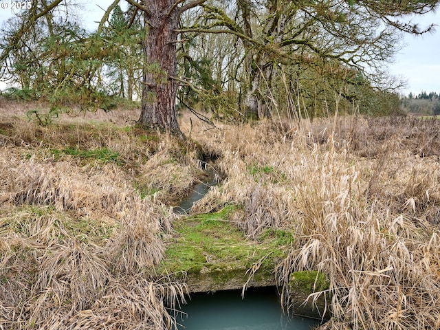 view of nature with a water view