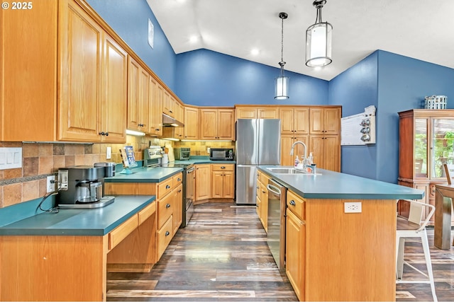 39225 SW Oak Ln, Willamina, OR 97396 - kitchen with appliances with stainless steel finishes, a sink, dark wood-style floors, high vaulted ceiling, and under cabinet range hood