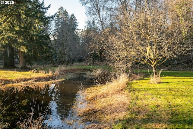 view of landscape featuring a water view