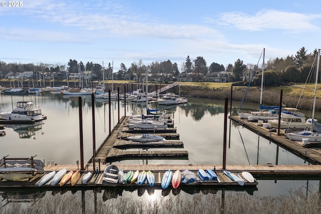 dock area with a water view