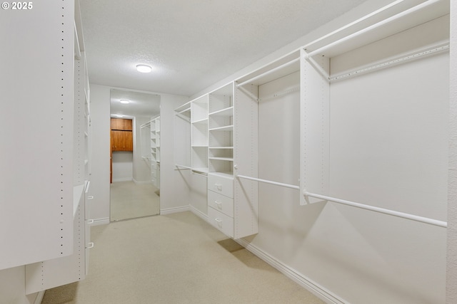 spacious closet with light colored carpet