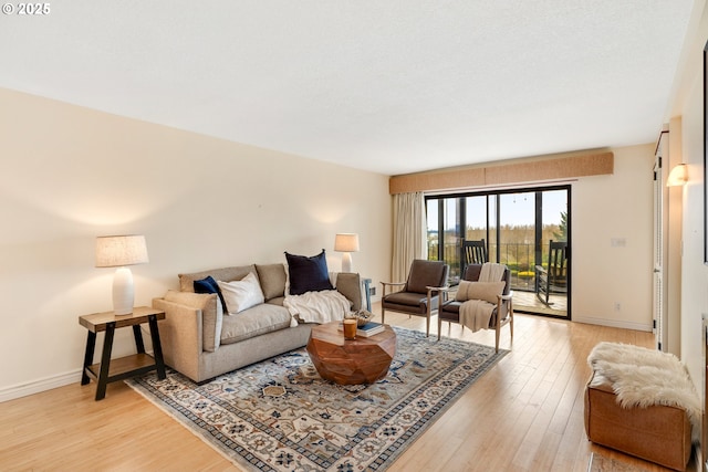 living room featuring light hardwood / wood-style flooring