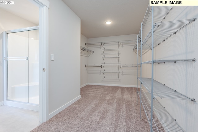 walk in closet with carpet floors