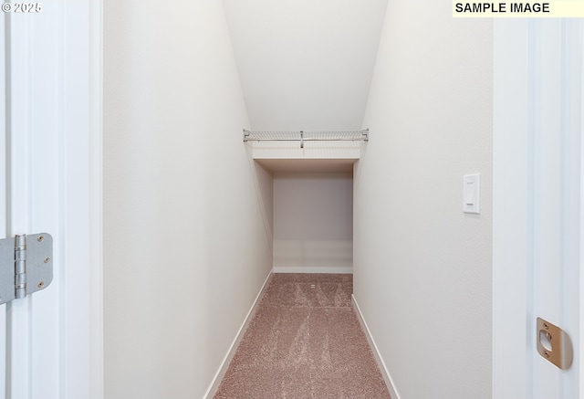 walk in closet with carpet flooring