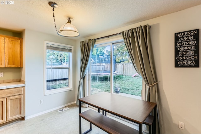 dining room featuring a healthy amount of sunlight, baseboards, and a textured ceiling