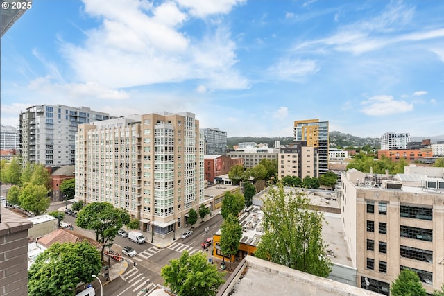 333 NW 9th Ave Unit 902, Portland, OR 97209 - view of city