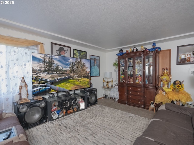 living room with carpet floors and a textured ceiling