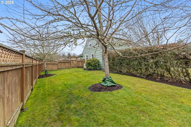 view of yard with a fenced backyard