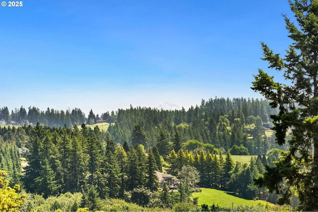 19375 SW Eastside Rd, Lake Oswego, OR 97034 - view of mountain background featuring a heavily wooded area