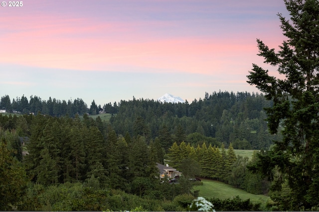 19375 SW Eastside Rd, Lake Oswego, OR 97034 - aerial view at dusk of a wooded view