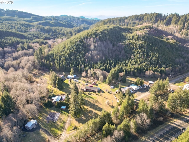 bird's eye view with a mountain view