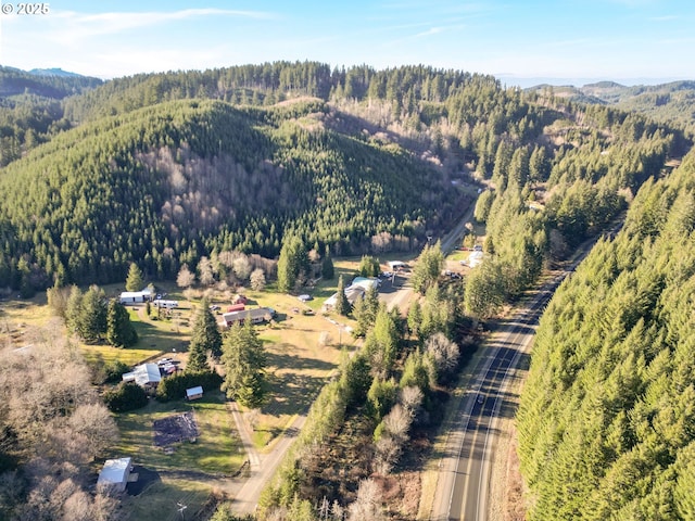 drone / aerial view with a mountain view