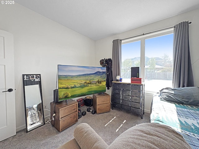 7205 Edge Cliff Dr, Brookings, OR 97415 - carpeted bedroom featuring lofted ceiling and baseboards