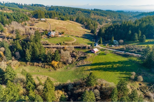 drone / aerial view featuring a rural view