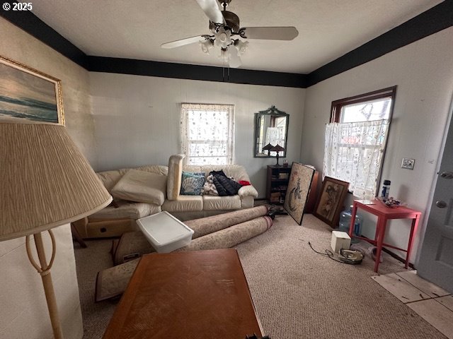 carpeted living room with ceiling fan