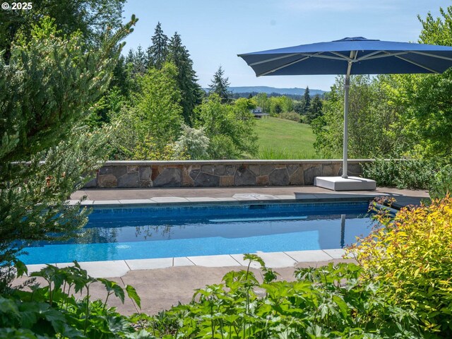 13615 NW Mason Hill Rd, North Plains, OR 97133 - swimming pool with a mountain view