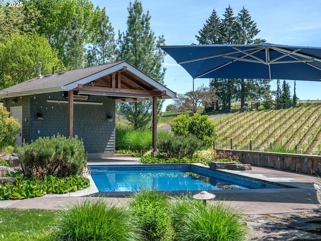 13615 NW Mason Hill Rd, North Plains, OR 97133 - view of swimming pool