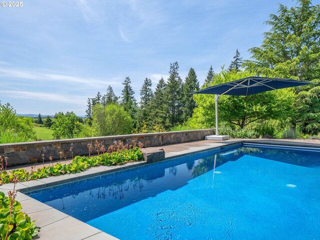 13615 NW Mason Hill Rd, North Plains, OR 97133 - view of swimming pool