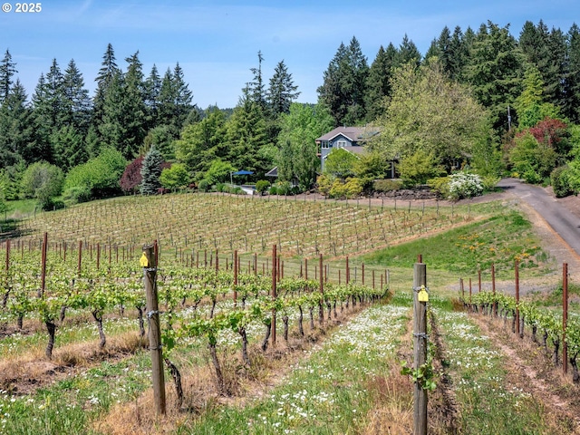 13615 NW Mason Hill Rd, North Plains, OR 97133 - view of yard with fence, a rural view, and agricultural area