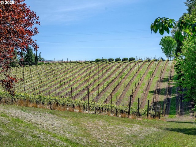 13615 NW Mason Hill Rd, North Plains, OR 97133 - view of yard with agricultural area and a view of rural / pastoral area