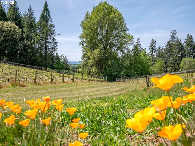 13615 NW Mason Hill Rd, North Plains, OR 97133 - view of yard with fence and a rural view