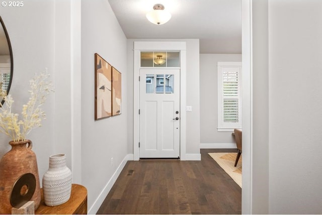 entryway featuring dark wood-type flooring