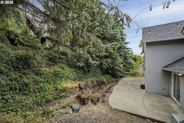 view of yard featuring a patio area