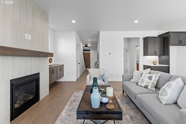 living room featuring a large fireplace and light hardwood / wood-style floors