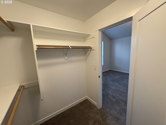 spacious closet with carpet flooring