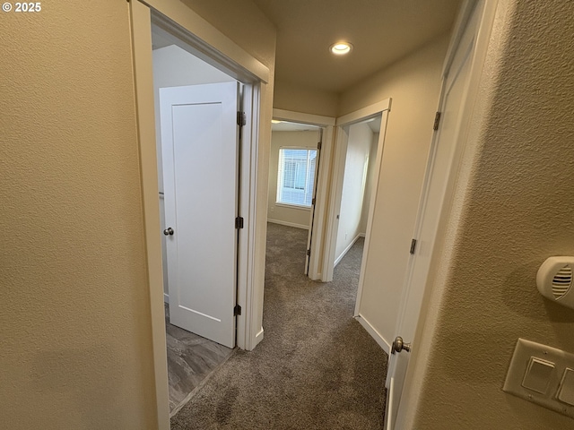 hallway featuring carpet flooring