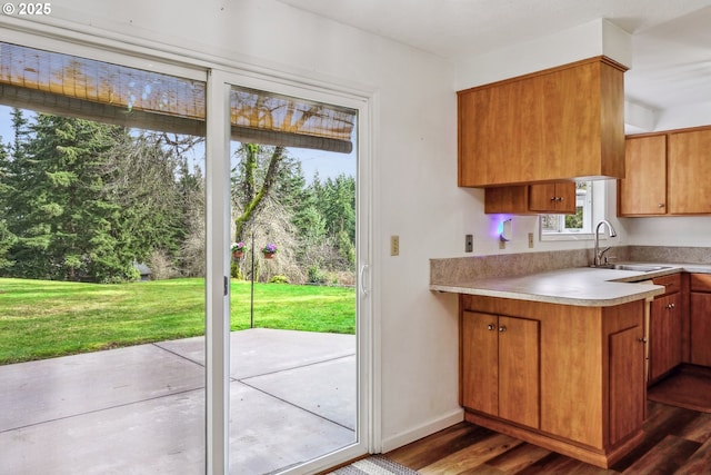 doorway to outside featuring dark wood-style floors, a sink, and baseboards