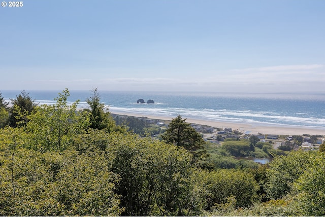 461 Home Ct, Rockaway Beach, OR 97136 - water view with local beach
