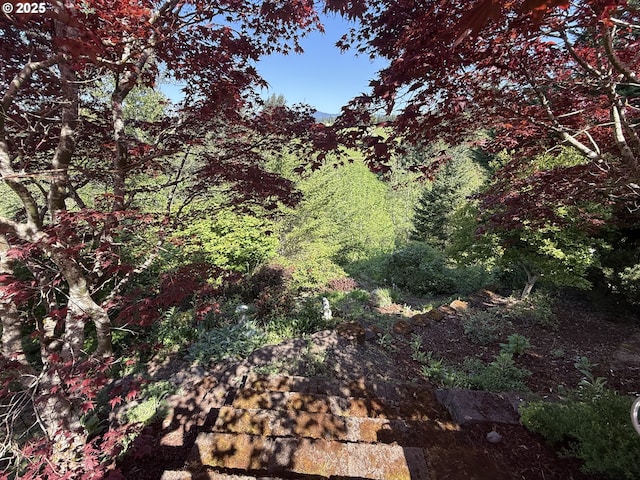 4119 Forest View Dr, Washougal, WA 98671 - view of woods