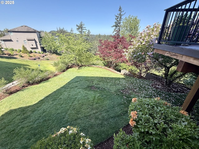 view of grassy yard