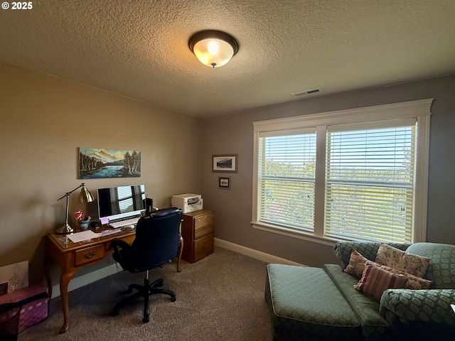 carpeted home office featuring plenty of natural light, a textured ceiling, and baseboards