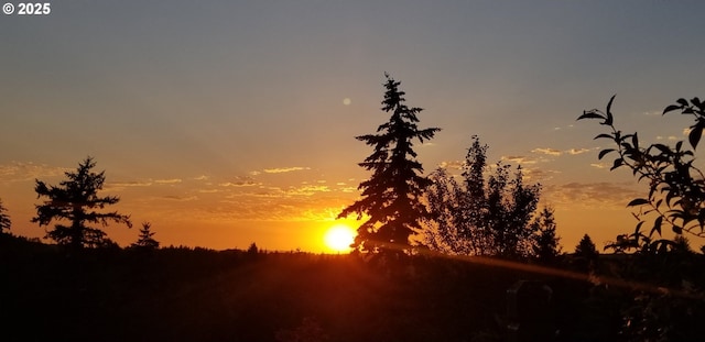 view of nature at dusk