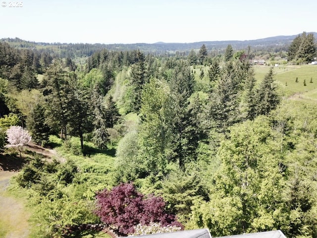 4119 Forest View Dr, Washougal, WA 98671 - bird's eye view of a forest