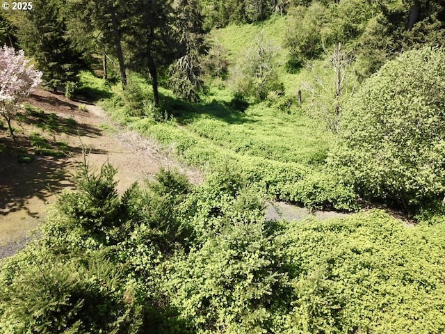 4119 Forest View Dr, Washougal, WA 98671 - view of local wilderness