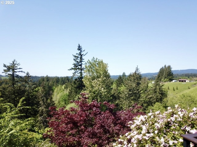 4119 Forest View Dr, Washougal, WA 98671 - view of tree filled area