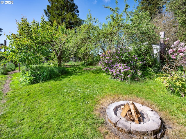 view of yard with a fire pit