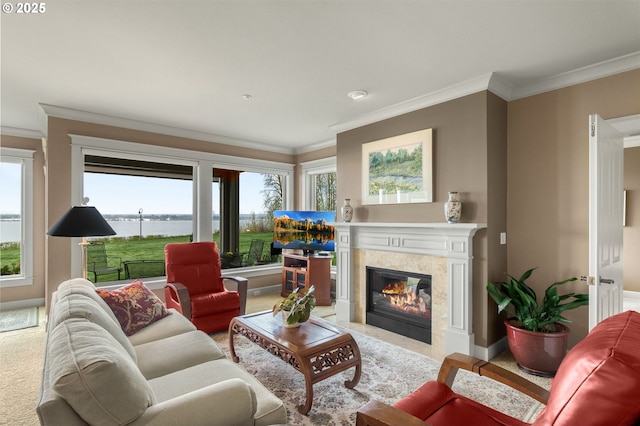 5401 SE Scenic Ln Unit 101, Vancouver, WA 98661 - living area featuring a tile fireplace and ornamental molding
