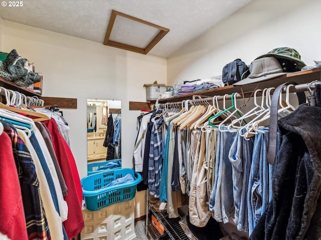 view of spacious closet