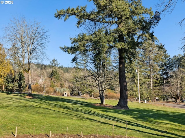 view of property's community with a lawn