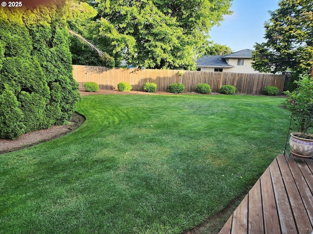 view of yard with a fenced backyard