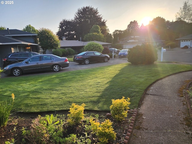 view of yard at dusk