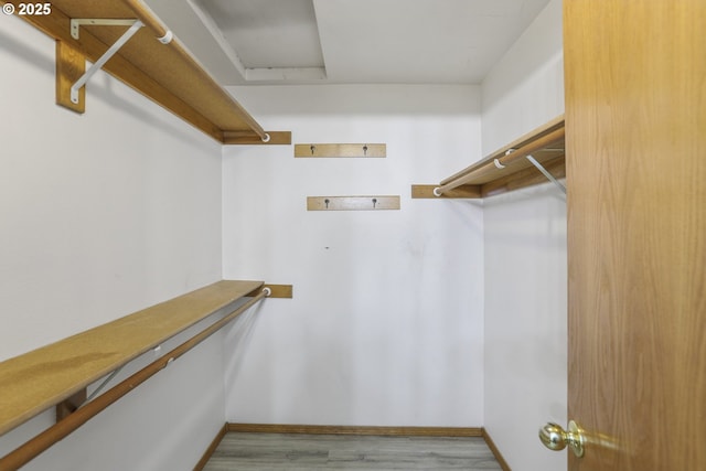 walk in closet featuring light hardwood / wood-style flooring