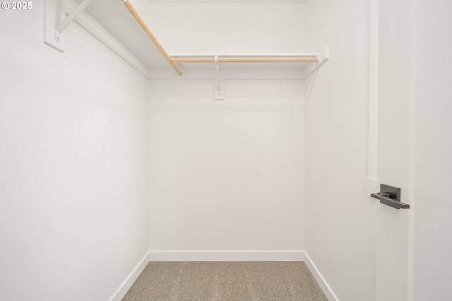 4308 N 12th Way, Ridgefield, WA 98642 - spacious closet with carpet flooring
