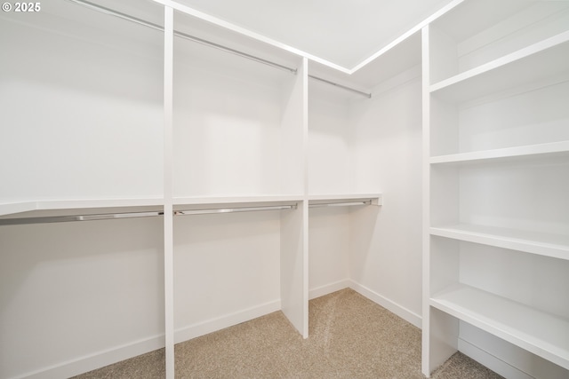 4308 N 12th Way, Ridgefield, WA 98642 - walk in closet with light colored carpet